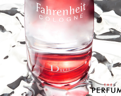 perfume-for-man-dior-fahrenheit-125ml-300x195
