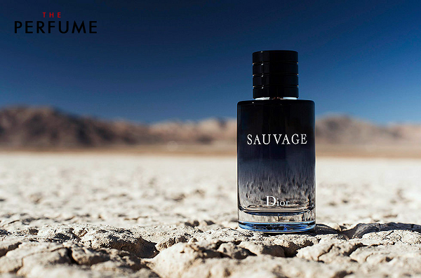 review-dior-sauvage-200ml