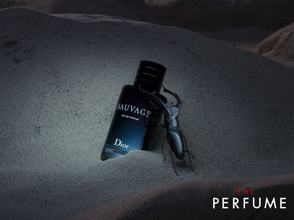 review-perfume-dior-sauvage-edp-100ml
